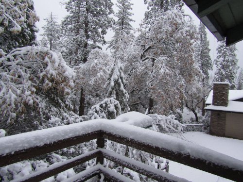 snow at the cabin